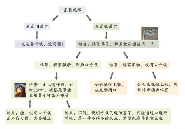 保罗齿科对口呼吸有自己的一套训练方法